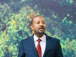 Guyyaa tokkotti biqiltuu miiliyoona 600fi miiliyoona 15.7 dhaabuu dandeenyeerra