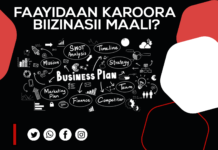 Karoorri Biizinasii(business proposal ) milkaa’ina hojiif humna akkamii qaba?