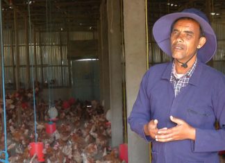 “Birrii dhibba 1 liqeeffadhee daldala eegaluun, abbaa miliyoona 30 ta’e.” Obbo Girmaa Buttaa