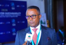 “Itiyoophiyaan rakkoolee waloo Afrikaa hiikuuf kutannoo cimaa qabdi.”Ambaasaaddar Nabiyaat Geetaachoo